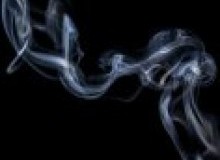 Kwikfynd Drain Smoke Testing
hamiltontas